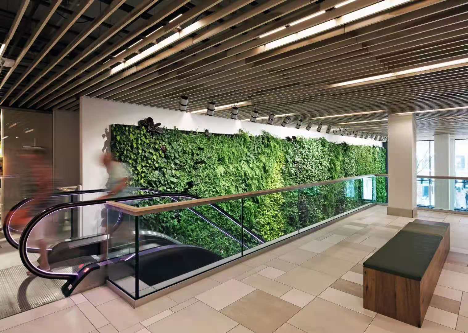 綠植景觀